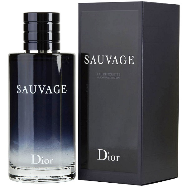 P Christian Dior Sauvage M Edt 100 Mlsp