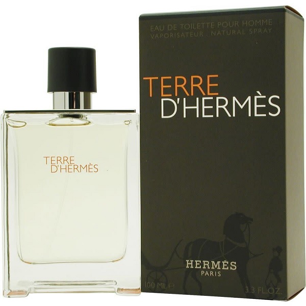 P Hermes Terre D'Hermes M Edt 100Mlsp